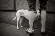 DDOS压力测试